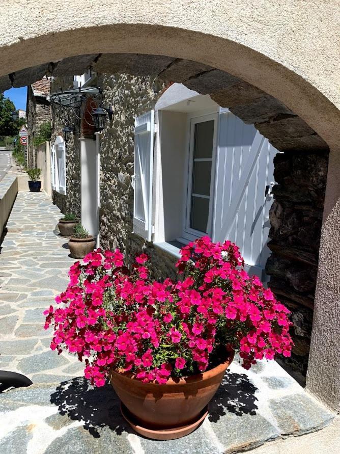 La Source 8 Ou 6 Couchages Villa Valle d'Alesani Exterior photo